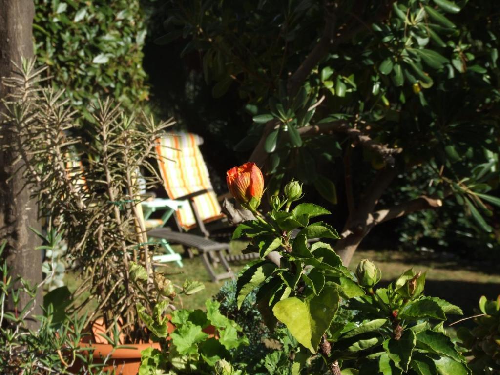 Guest house La Masa